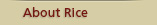 about_rice